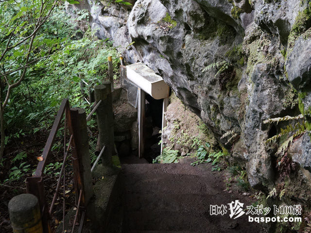 30mひたすら登れ 意外にハードな探検 橋立鍾乳洞 埼玉 日本珍スポット100景