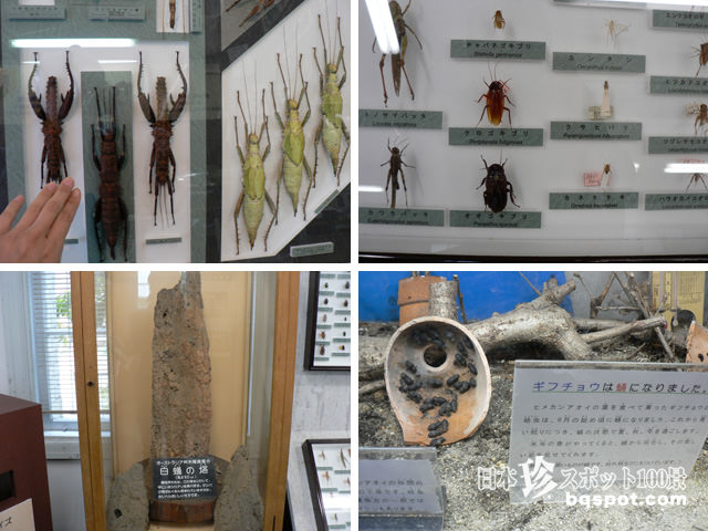 名和昆虫博物館