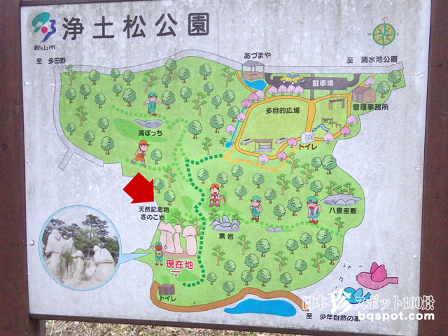 浄土松公園・きのこ岩